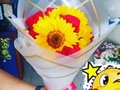 Disponible hermoso arreglo de Rosas y girasoles en papel coreano 😍