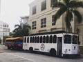 Celebra cualquier ocasión especial con Rumbatours, hasta 30 personas en cada uno de nuestros buses! 🚌🚎 Mas información visita nuestra pagina web o llama al (786) 752-1800