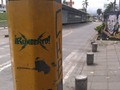 Comienza una nueva etapa para @rumbertoriginal en esta bella tierra caleña de la mano de @elpapoolo @gersonherreraoficial @publicidadexcelente . De aquí en adelante todo es el planeta entero, en crecimiento constante y cosechar éxitos en cada acción de este sueño... ✓ ✓ #art #arte #music #rumbia #rumberto #calico #colombia #streetart #street #picoftheday #instagramers #yellow #green #calle #musica #guitat #guitarra #smile #cumbia #reggae #punk #air #cali #caracaleño #light #ep #single #livemusic #worldtour #mylook