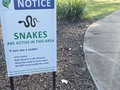 T'is the season. 😅Spring is officially here I guess. I already had to reorganise my morning walk after being swooped by a magpie. Now I guess I can cross this park off the list as well. #spring #Australia #snakes