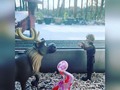 #kristoff and #sven are excited about the snow!🥶 (And #samantha too!) but #olaf is on vacation in the summer isles 🥵