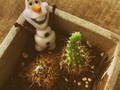 #kristoff and #sven are excited about the snow!🥶 (And #samantha too!) but #olaf is on vacation in the summer isles 🥵