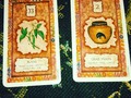 Deck three. Shaman wisdom cards. My favorite deck cause it can pin point exactly what's wrong and how to fix it or go about dealing with it. Been using these for a good 5 years now. All the cards are simple and give you things you can look deeper into if you want. #tarot #tarotcards #shaman
