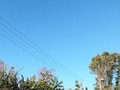 Was pretty out while I was out this morning