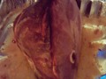 My ham I cooked. Phone was hell bent on not letting me use the flash in the picture. Got 6 bags of leftovers from it tho