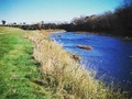 Another #nature shot from #walkingthedog. Was so nice and pretty out.
