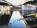 Adventures with Rufus #nature shot. So pretty on the trails