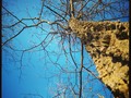 #nature shot I liked