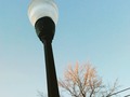 I have a problem. I always catch one of these lights on the path while I'm #walkingthedog and always try to get a cool picture of them. #nature #park