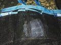 Shower tote for #college