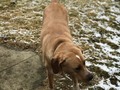 #Puppy picture