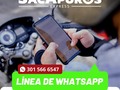 DOMICILIOS Y MENSAJERÍA EN BARRANQUILLA Y SOLEDAD✔️ . ¿Tienes un apuro? Nosotros te ayudamos Comunicate a nuestra línea de Whatsapp 📲3015666574   📨Diligencias  🛍Compras 📦Envíos 💲Pagos . #barranquilla #sacapuros #diligencias #pagos #envios #domiciliosbarranquilla #compras