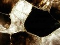 The SALEMCA Precioustone Collection is a line of super exotic and exclusive slabs that are jewellery for your home or office. Handmade in India and China by expert craftsmen these slabs are made of some of the rarest materials from around the world, including but not limited to – 240 million year old Petrified Wood, Wild Tiger’s Eye Gemstone and Black Obsidian Volcanic Glass. Additionally, rare coloured and naturally translucent agates and quartz crystal that are not only stunningly beautiful, they are as hard as steel. Most of the Precioustone Collection is available with inlaid Ammonite Fossils upon request.  BACKLIGHTING Adding yet another dimension of beauty and design versatility, these products are ideal for backlighting. Utilize and experment with differen lights to transform the stone to your own personalized “show stopping”   BEYOND COUNTERTOPS Though well suited for kitchen and bathroom countertops, the Precioustone Collection is often used in additional applications such as: full slab or custom wall features (often backlit and used as art pieces in fine homes or offices) tables & bedroom furniture, fireplaces, commercial/residential bar features. The applications are also open to your own creations.  #colombia #designers #panama #peru #ecuador #mexico #canada #usa #chicago #illinois #florida #miami #republicadominicana #semiprecious #interiorarchitecture #dubai #california #losangeles #newyork #australia #españa #portugal #designer #interiordesign #interiordecorating #australia #gemstones #interiordecor #architec #design