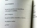 Libro: Harakiri. Autor: Claudio Bertoni. - #SAmargos.