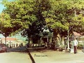 Parque caceres