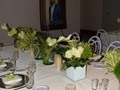 Wen you are going to do the #dinnergala ideas from your clients you need to put all the elements to accomplish a setting table according to what they imagine to going to be that night.  In this event we incorporate white and green elements. For the flowers we use Elegant Flowers like Orquids, Roses, Calas, and Son of the India greener. Looks fantastic don you think? • Location. @mr.chotels  Event Derek Jeter @derek_jeter_official_ @marlins @hauteliving  Event Setting, Flower Desingner and coordinations @sandysilvera •  #goalcompleted✔ #eventplaning #partyplanners #celebrityevents #celebrityeventplanners #sandysilvera #eventdesigners #miamievents #stylishevents #miamiweddings #luxuryweddings