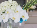 We are preparing Something Special, We are looking forward to incredible flowers and new concepts is coming.  Stay up and level up 🆙 🔝 #sandysilveraflorals #newthings #sandysilveraluxuryweddings