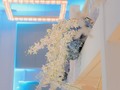 White Dendrobium Hanging is a beautiful idea to create armoni and a focal point in your decorations. Don’t miss the opportunity to be able to get a job that will be great for your event. #sandysilveraluxuryweddings #dandysilvera #miami #miamieventplanner #palmbeachplanner #elegantflowers #flowers