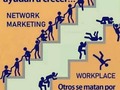 IMMUNOTEC: Negocio multinivel  La Diferencia más grande entre los negocios regulares y el negocio Multinivel. Por más que quieras ayudar a un amigo,familiar o conocido en un negocio regular si no es "Socio" no vas a querer que sea más exitosos que tu negocio.  Por el contrario en el marketing multinivel,si a cada persona que invierte y emprende en la organización le va bien y se vuelve una persona exitosa a todos les va bien. Por lo cual en que nadie quieres estar?  #reddemercadeo #multinivel #negocios #immunotec #immunocal  #dinero