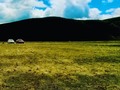Llegamos a este mundo 🌍 con muchos sueños. De niños creíamos que podíamos ser lo que quisiéramos, no existía límite en nuestra mente. Pero al ir creciendo nos olvidamos de esos sueños, y empezamos a vivir con LIMITACIONES. - Así que es momento de despertar, pues limitarte, es simplemente una mentalidad que adoptaste y que sin darte cuenta, con el tiempo, aceptaste a esa mentalidad como una realidad. - Cambiemos esa mentalidad de limitaciones y conformismos por una mentalidad de abundancia. Abundancia espiritual, física y monetaria.  #notedetengas👊