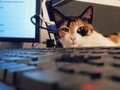 🌌🐈📷..