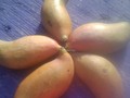 Domingo dia de descanso y de una deliciosa merienda, sana y muy nutritiva como estos ricos mangos ..... #disfrutadelavida