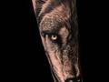 Wolf __________________________________________________________________________________________#tattoo #tattoos #wolf #wolftattoo #tatuering #jönköping #jonkoping #jonkoping #tatueringar #sweden🇸🇪 #sweden #jönköpingcity