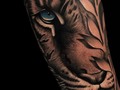 Tiger 🐯 for information DM ____________________________________________________________________________________________#tattoos #tattooideas #tigretattoo #tattoo #tattooartist #tatuering #tatuaje #tatuajes #tatuajestigres #jönköping #jonkoping #sweden🇸🇪 #sweden #swedenart