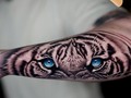 Tiger look  By: @saultattoos  ____________________________________________________________________#tatuering #tatuerigar #sweden #sverige #huskvarna #jönköping #jonkoping #ink #tigers #venezuela #europa #europe #tattoos