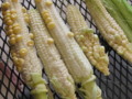 Corn on the Cob Gone Wrong