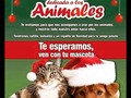 Este 22de diciembre estaremos celebrando la novena alusiva a los animales en la plazoleta del parque fundadores de Armenia el costo es de 8mil para ayudar a los perros de la fundación