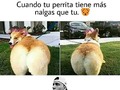 #dog #memes #meme #memesdaily #mexico #españa #colombia #venezuela #instagram #like #lol #love #funnymemes #funny #fail #face #hot🔥 #hot #fitness