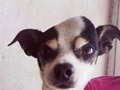 Se escucha un severo putazo en mi cuarto*  Mi mamá: ¿Que pasó?  Yo: Nada
