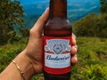 Una cerveza, un bien paisaje y se te reinicia la vida.