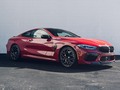 A taste of adventure.  #BMWMrepost @bmwrochester @collingrayphoto   BMW M8 Competition Coupé:  Fuel consumption in l/100 km (combined): 11.4-11.0 (WLTP);  CO2 emissions in g/km (combined): 260-251 (WLTP)  Check the link in our bio for the BMW Individual Visualizer to see more BMW Individual color options.  #BMWM #M8 #carphotography #coupe