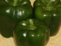 Bell Peppers from my Garden