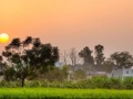 A magnificent sunset in typical Pakistani village