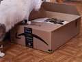 Alguien recibió un paquete de amazonmex y...