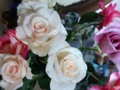 Benditas y amadas rosas... Pero más sagradas aún las manos que las cuidan, cosechan y preparan 🌹👵🏻💞