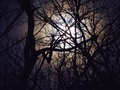 Full Moon