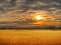 Twin Sisters Sunset in the Marsh - Full Res