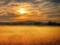 I don’t think it can be called HDR after all the digital blending I did to it after it came out of Photomatix. #Marsh #sunset #hdr #lumix #mft