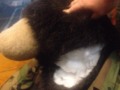 In the rough side of town, even the stuffed animals get #murdered. (at Suisun City Black Bear Diner)