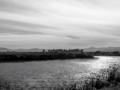 #hi-key #black&white in the Marsh (at Grizzly Island)
