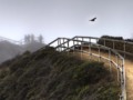 Getting a jump on #tbt. From foggy Muir Beach overlook. #2012