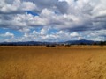 Some epic #clouds right now. Got a timelapse going. #cloudporn (at Suisun Marsh)