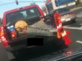 @mike3k I saw Elmo a few years back. He was a little nervous at the time.