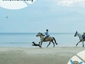 En los mejores lugares,🌈 con las mejores compañías😊, para guardar los mejores recuerdos.📕 #MomentoSky - - - - -#like #drone #dji #landscape #photo #hd #drug #phantom #pro #mavic #apple #nicon #fly #picture #picoftheday #follow #whiteandblack #aerial #plane #sky #girls #gimbal #phantom4 #xioami #beach #4k #travel #video #summer