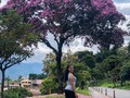 Un espectáculo natural cuando esta ciudad se viste de rosa. 🌸  Los #ocobos florecidos son todo un detalle del amor de Dios. 💖