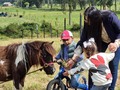 #mischatosqueridos #pony #familia #family